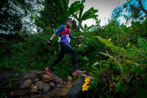 BIB: 
                            <button type="button" onclick="openModal(15974589)" class="btn btn-primary btn-sm float-right btn-popup" data-toggle="modal" data-target=".modal-high-quality">
                        <i class="fas fa-shopping-cart"></i> Add to Cart
                    </button>
                                            <button type="button" onclick="isThisMe(15974589, true)" class="btn btn-success btn-sm float-right btn-popup btn-isme hidden" data-toggle="tooltip" data-placement="bottom" title="นี่คือรูปของคุณใช่ไหม คลิกที่นี่เพื่อเอาเข้าอัลบั้ม">
                        <i class="fas fa-plus"></i> Add to album
                    </button>
                    <button type="button" onclick="isThisMe(15974589, false)" class="btn btn-warning btn-sm float-right btn-popup btn-isnotme hidden">
                        <i class="fas fa-ban"></i> Remove from album
                    </button>